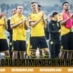 Áo Đấu Dortmund Chính Hãng