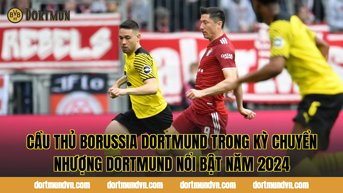 Cầu thủ Borussia Dortmund trong kỳ chuyển nhượng Dortmund nổi bật năm 2024