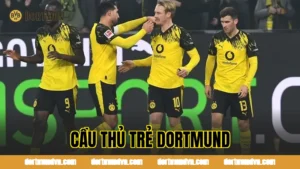 Đội Trưởng Dortmund Là Ai? Thủ Lĩnh Đang Dẫn Dắt Đội Bóng