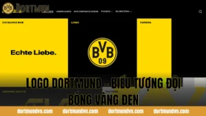 Dortmund Vô Địch Bundesliga Bao Nhiêu Lần? Nhìn Lại Những Mùa Giải Đáng Nhớ