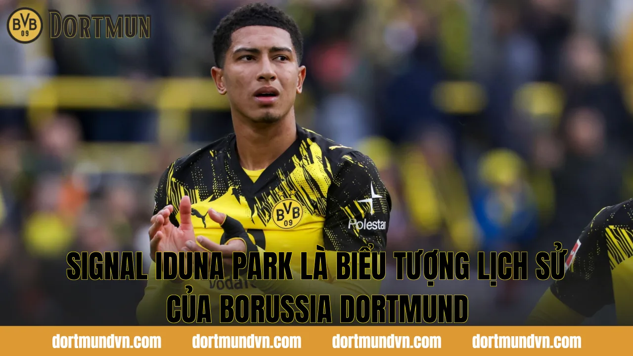 Signal Iduna Park là biểu tượng lịch sử của Borussia Dortmund