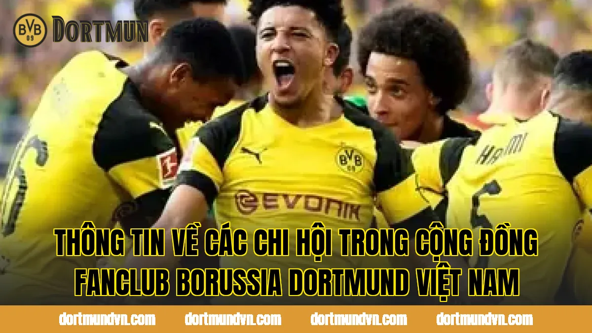 Thông tin về các chi hội trong cộng đồng Fanclub Borussia Dortmund Việt Nam