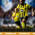 Tiền Đạo Dortmund