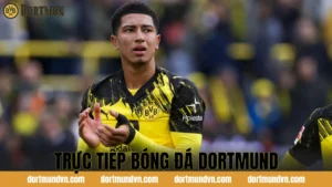 Dortmund Bundesliga – Hành Trình Chinh Phục Giải Đấu Nước Đức