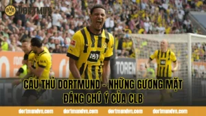 Đội Trưởng Dortmund Là Ai? Thủ Lĩnh Đang Dẫn Dắt Đội Bóng