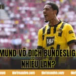 Dortmund Vô Địch Bundesliga Bao Nhiêu Lần?