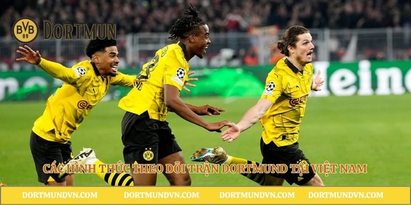 Các hình thức theo dõi trận Dortmund tại Việt Nam