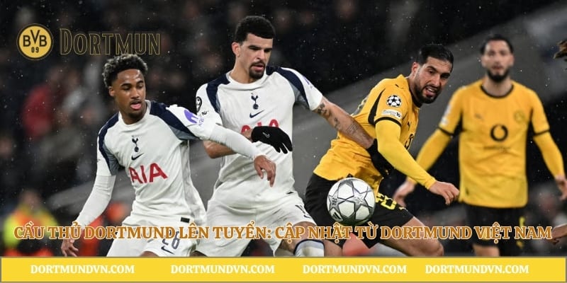 Cầu Thủ Dortmund Lên Tuyển: Cập Nhật Từ Dortmund Việt Nam