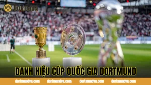 Tiềm Năng Trẻ Dortmund Trong Mùa Giải Mới | Dàn Sao Tương Lai