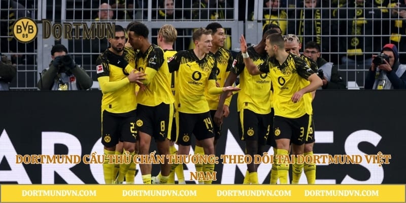 Dortmund Cầu Thủ Chấn Thương: Theo Dõi Tại Dortmund Việt Nam