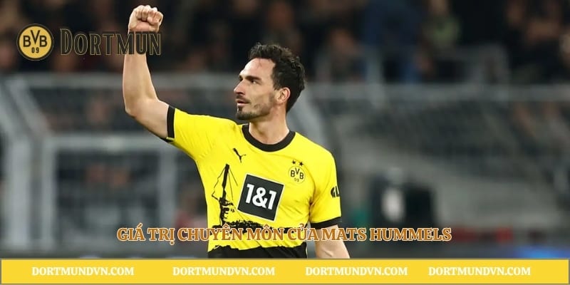 Giá trị chuyên môn của Mats Hummels
