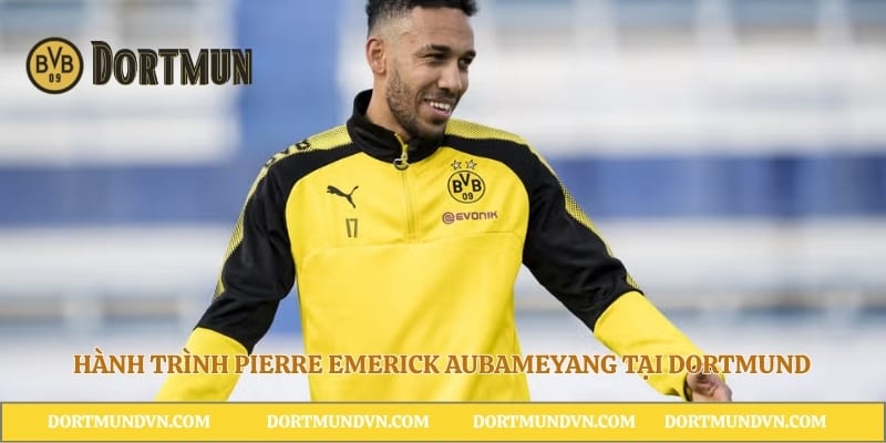 Hành trình Pierre Emerick Aubameyang tại Dortmund