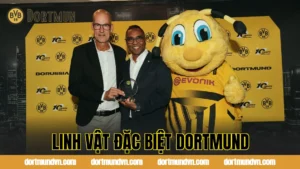 Học Viện Đào Tạo Trẻ Dortmund: “Lò” Nối Nối Sinh Ra Các Siêu Sao