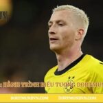 Marco Reus: Hành Trình Biểu Tượng Dortmund Việt Nam