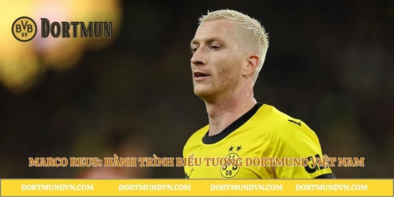 Marco Reus: Hành Trình Biểu Tượng Dortmund Việt Nam