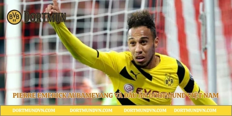 Pierre Emerick Aubameyang Và Dấu Ấn Dortmund Việt Nam
