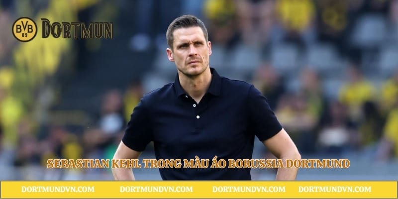 Sebastian Kehl trong màu áo Borussia Dortmund