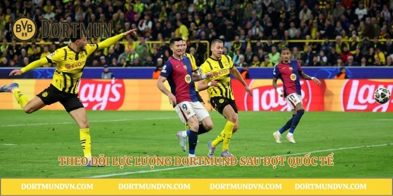 Theo dõi lực lượng Dortmund sau đợt quốc tế