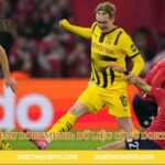 Thống Kê Trận Đấu Dortmund: Dữ Liệu Cùng Dortmund Việt Nam
