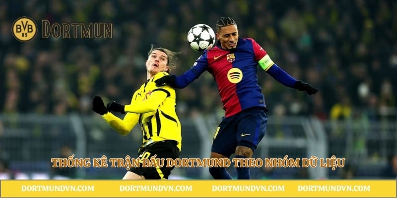 Thống kê trận đấu Dortmund theo nhóm dữ liệu
