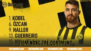 Dortmund Vô Địch Cup Quốc Gia Đức Bao Nhiêu Lần? Lịch Sử Danh Hiệu